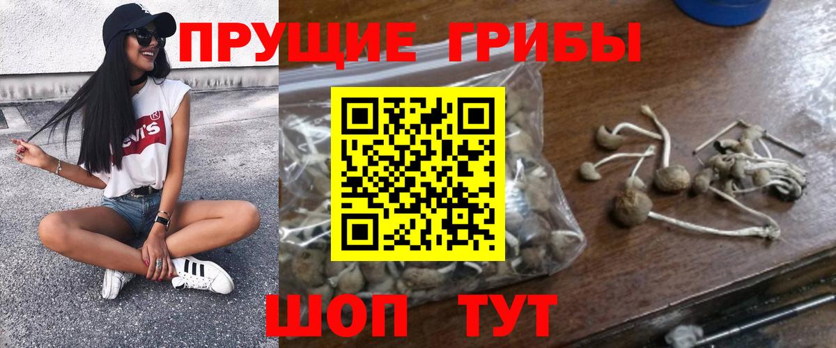 наркотики  Вход с VPN  Зерноград  Галлюциногенные грибы мицелий 